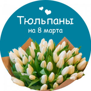 Купить тюльпаны в Белгороде